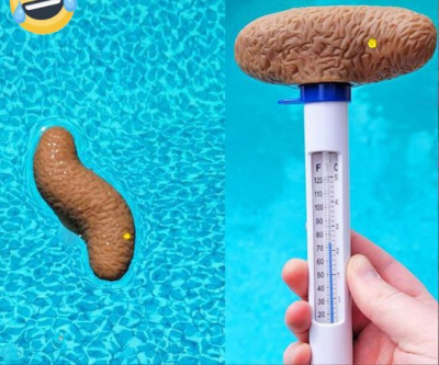 Lustiger Pool-Thermometer