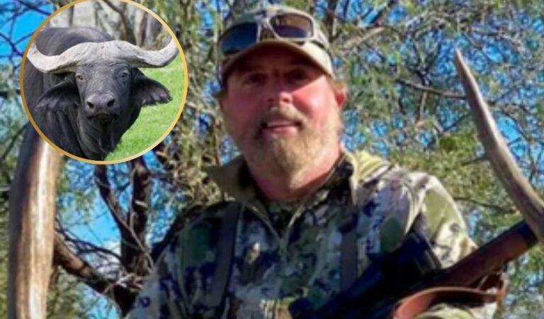 Safari-Tragödie in Südafrika: US-Millionär von Cape-Büffel getötet – Was wirklich geschah